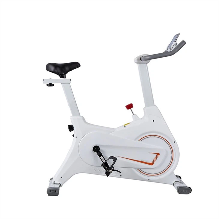 Magnetic Wheel Spin Bike